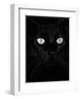 Black Domestic Cat, Eyes with Pupils Closed in Bright Light-Jane Burton-Framed Premium Photographic Print