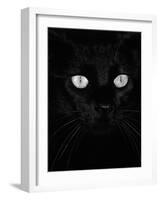 Black Domestic Cat, Eyes with Pupils Closed in Bright Light-Jane Burton-Framed Photographic Print