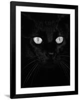 Black Domestic Cat, Eyes with Pupils Closed in Bright Light-Jane Burton-Framed Photographic Print