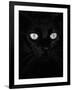 Black Domestic Cat, Eyes with Pupils Closed in Bright Light-Jane Burton-Framed Photographic Print