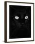 Black Domestic Cat, Eyes with Pupils Closed in Bright Light-Jane Burton-Framed Photographic Print