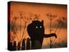 Black Domestic Cat Silhouetted Against Sunset Sky, Eyes Reflecting the Light, UK-Jane Burton-Stretched Canvas