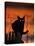 Black Domestic Cat, Silhoutte at Sunset with Eyes Reflecting Light-Jane Burton-Stretched Canvas