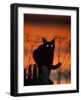Black Domestic Cat, Silhoutte at Sunset with Eyes Reflecting Light-Jane Burton-Framed Photographic Print
