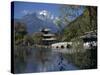 Black Dragon Pool Park with Bridge and Pagoda, Lijiang, Yunnan Province, China-Traverso Doug-Stretched Canvas