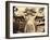 Black Dragon Temple, Hai Cung Tan (China)-John Thomson-Framed Photographic Print