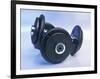 Black Dumbbells-null-Framed Photographic Print