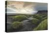 Black Dunes Panorama-Danny Head-Stretched Canvas