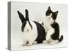 Black Dutch Rabbit with Black-And-White Kitten-Jane Burton-Stretched Canvas