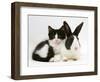 Black Dutch Rabbit with Black-And-White Kitten-Jane Burton-Framed Premium Photographic Print