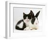 Black Dutch Rabbit with Black-And-White Kitten-Jane Burton-Framed Premium Photographic Print