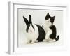 Black Dutch Rabbit with Black-And-White Kitten-Jane Burton-Framed Photographic Print