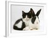 Black Dutch Rabbit with Black-And-White Kitten-Jane Burton-Framed Photographic Print