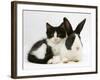 Black Dutch Rabbit with Black-And-White Kitten-Jane Burton-Framed Photographic Print