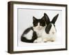 Black Dutch Rabbit with Black-And-White Kitten-Jane Burton-Framed Photographic Print