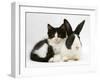 Black Dutch Rabbit with Black-And-White Kitten-Jane Burton-Framed Photographic Print