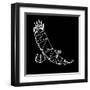 Black Eagle Polygon-Lisa Kroll-Framed Art Print