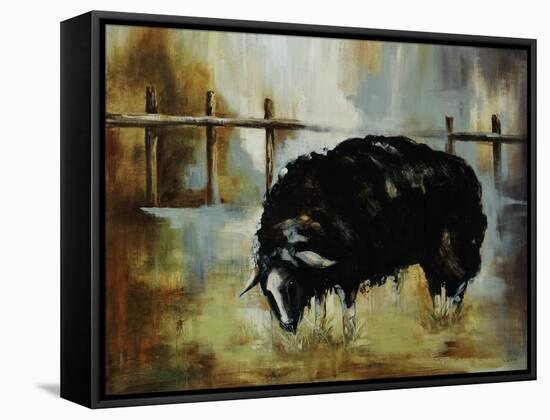 Black Ewe-Rikki Drotar-Framed Stretched Canvas