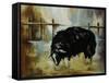 Black Ewe-Rikki Drotar-Framed Stretched Canvas