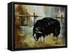 Black Ewe-Rikki Drotar-Framed Stretched Canvas