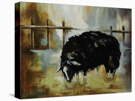 Black Ewe-Rikki Drotar-Stretched Canvas