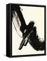 Black Expression I-Regina Moore-Framed Stretched Canvas