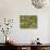 Black-Eyed Susan and Daisy Fleabane-Adam Jones-Stretched Canvas displayed on a wall