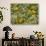 Black-Eyed Susan and Daisy Fleabane-Adam Jones-Photographic Print displayed on a wall