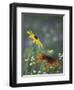 Black-Eyed Susan and Gloriosa Daisy, Oldham County, Kentucky, USA-Adam Jones-Framed Photographic Print