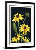 Black Eyed Susan - Letterpress-Lantern Press-Framed Art Print