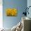 Black-Eyed Susan-Richard T. Nowitz-Stretched Canvas displayed on a wall