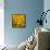 Black-Eyed Susan-Richard T. Nowitz-Framed Stretched Canvas displayed on a wall