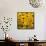 Black-Eyed Susan-Richard T. Nowitz-Framed Stretched Canvas displayed on a wall