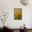 Black-Eyed Susan-Richard T. Nowitz-Framed Stretched Canvas displayed on a wall