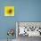 Black-eyed susan-Clive Nichols-Photographic Print displayed on a wall