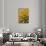 Black-Eyed Susan-Richard T. Nowitz-Stretched Canvas displayed on a wall