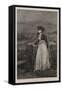 Black-Eyed Susan-George Henry Boughton-Framed Stretched Canvas