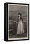 Black-Eyed Susan-George Henry Boughton-Framed Stretched Canvas