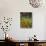 Black Eyed Susans and Barn, Vermont, USA-Darrell Gulin-Stretched Canvas displayed on a wall