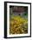 Black Eyed Susans and Barn, Vermont, USA-Darrell Gulin-Framed Photographic Print