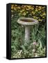 Black-Eyed Susans and Chrysanthemums-null-Framed Stretched Canvas