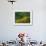 Black-Eyed Susans, Rudbeckia Hirta, and Joe Pye Weed, Holden Arboretum, Cleveland, Ohio, USA-Adam Jones-Framed Photographic Print displayed on a wall