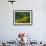 Black-Eyed Susans, Rudbeckia Hirta, and Joe Pye Weed, Holden Arboretum, Cleveland, Ohio, USA-Adam Jones-Framed Photographic Print displayed on a wall