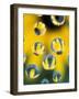 Black-Eyed Susans Seen Through Water Droplets-Adam Jones-Framed Photographic Print