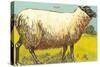 Black-Faced Sheep-null-Stretched Canvas
