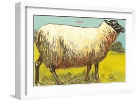 Black-Faced Sheep-null-Framed Art Print