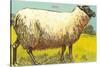 Black-Faced Sheep-null-Stretched Canvas