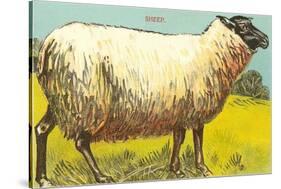 Black-Faced Sheep-null-Stretched Canvas