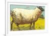 Black-Faced Sheep-null-Framed Premium Giclee Print