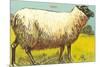 Black-Faced Sheep-null-Mounted Premium Giclee Print